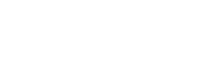 Flowise